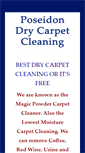 Mobile Screenshot of bestdrycarpetcleaning.net